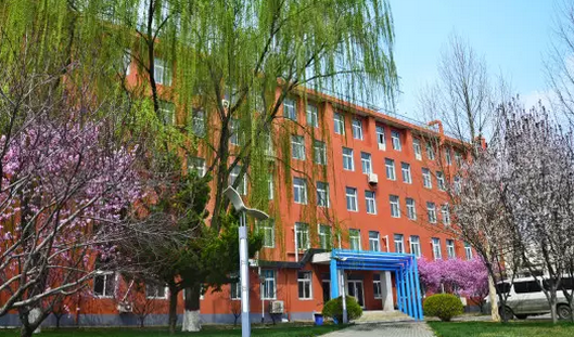 北京市新府学外国语学校